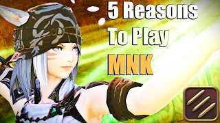 5 Reasons Why You Should Play Monk/MNK (Pugilist)