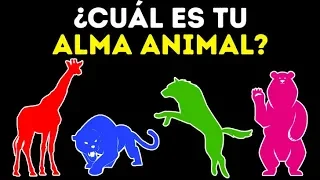 ¿Cuál es el animal de tu alma? Un test de personalidad genial