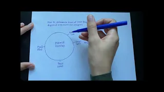 How to determine DNA fragment sizes from plasmid digested with restriction enzymes