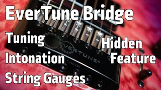 Best Bridge for guitar players: The Evertune Bridge Explained