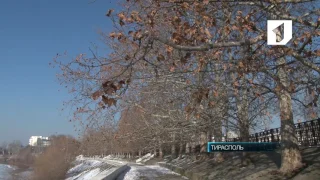 К концу недели в Приднестровье ожидается до минус 15 градусов