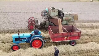 Claas Matador Cutting Wheat - 1960s style