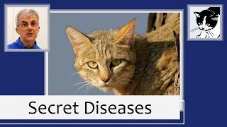 Cat Health: Secret Diseases (2015)