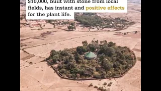 Ethiopian Church Forest Conservation