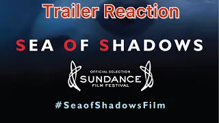 Sea of shadows trailer reaction