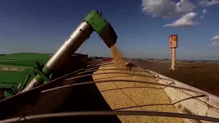 Southern Brazil restoring soybean production | REUTERS