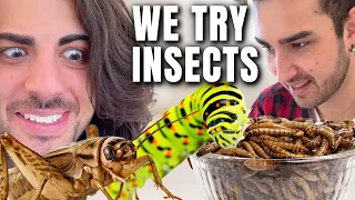 ITALIANS EAT INSECTS