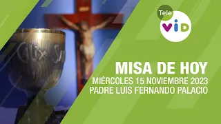 Misa de hoy ⛪ Miércoles 15 Noviembre de 2023, Padre Luis Fernando Palacio #TeleVID #MisaDeHoy #Misa
