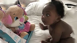 Funny Baby Videos - The Ultimate Try Not to Laugh Challenge!