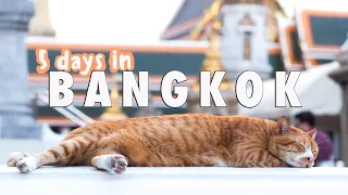 5 days in Bangkok (sightseeing, prices, shopping) #bangkok #thailand