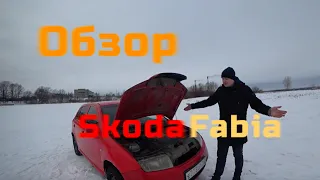 Обзор Skoda Fabia. Первый автомобиль.