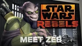 Meet Zeb, the Muscle | Star Wars Rebels