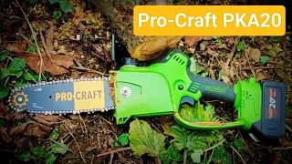 Невеличкий огляд ручної акумуляторної пилки Pro-Craft PKA20