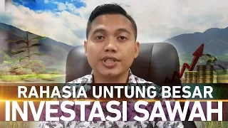 IDE BISNIS  RAHASIA UNTUNG BESAR dari INVESTASI SAWAH