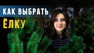 Как выбрать искусственную елку.  На что смотреть?