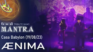 MANTRA - Ænima (Tool Cover, live in Casa Babylon 19/08/23)