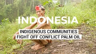 Palm Oil Free Islands - Indigenous Communities Fight Off Conflict Palm Oil - Indonesia