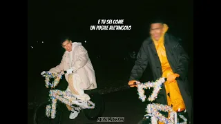 Brividi - Mahmood e Blanco Lyrics