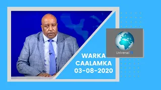 Warka Universal TV 03 8 2020