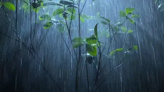 Fall into Sleep in Under 2 Minutes with Heavy Rain & Thunder Sounds in Foggy Rainforest at Night