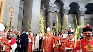 Processione - Domenica delle Palme | Gerusalemme