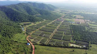 La Plantation - Kampot Pepper Farm - Cambodia