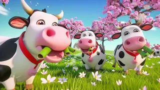 Baba Black Sheep Fun Vesion & Lovely dairy cows Collection Pipokiki Nursery Rhymes & Kids Song