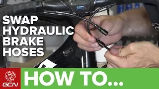 How To Swap Hydraulic Disc Brake Hoses On A Road Bike | Maintenance Monday