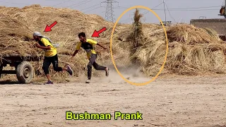 Funniest Reaction | Bushman Prank-try not to laugh🤣🤣