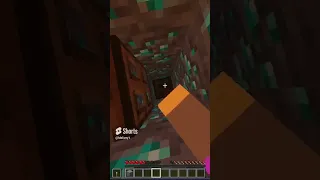 Интересно куда меня это приведет short #shorts #minecraft