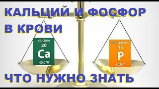 Кальций и фосфор в крови: как правильно оценить и на что обратить внимание?