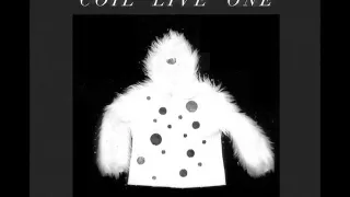 Queens of the Circulating Library - Coil - Live One