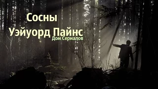 ОБЗОР СЕРИАЛА "СОСНЫ//УЭЙУОРД ПАЙНС"