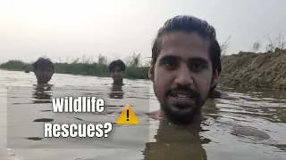 "Sab kuch Doob Gaya!" | survivng the DELHI FLOOD & Rescues!