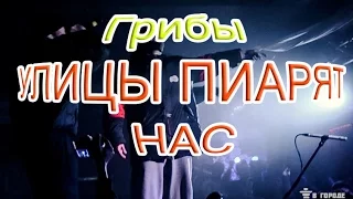 Грибы - Улицы пиарят нас