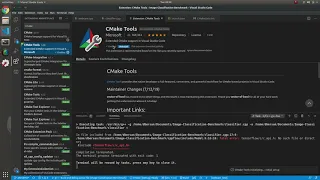 Debugging a C++ (CMake) Project in Vscode