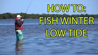 How to catch fish during Winter Low Tide