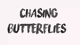 Panorama - Chasing Butterflies ft Brittney Bouchard (Lyrics Video)