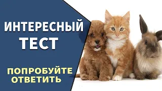 Интересные тесты на эрудицию -3