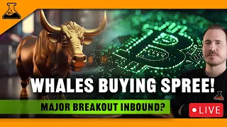 BITCOIN Whale Buying Spree (Major BTC & Altcoin Breakout Inbound?) Signals To Watch