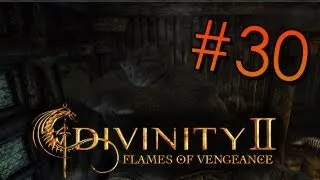 Let's Play Divinity II: FoV - #030 - Sir Gula