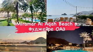 Miramar Al Aqah Beach Resort в Фуджейре ОАЭ