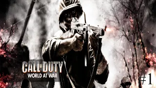 Старая добрая колда - Call of Duty: World at War #1