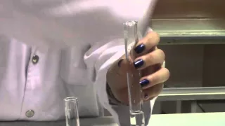 CHEMISTRY: Cation Test for Pb2+ (using NaOH and NH4OH)