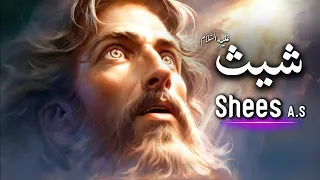 Hazrat Shees A S  Kon thy? | Bani Sheeth OR Bani Qabil | Seth | (Prophet Series)