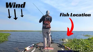 It’s WINDY! Here are the best locations to fish!