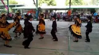 Bailable de Tamaulipas "Querreque"