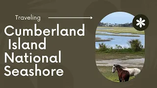 Cumberland Island National Seashore, National Park with wild horses and beautiful beach.