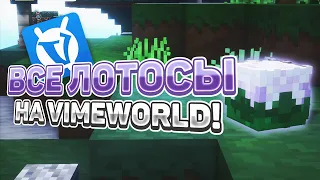 КАК НАЙТИ ВСЕ ЛОТОСЫ(НОВЫЕ ГОЛОВЫ) НА VIMEWORLD?