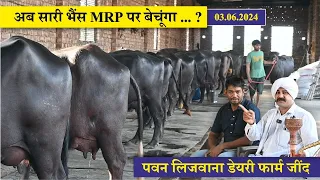 अब सारी भैंस MRP पर बेचूंगा ... ?  || PAWAN LIJWANA DAIRY FARM, JIND